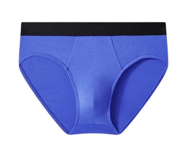 Men's Flex Fit Bikini Brief (Royal Blue)