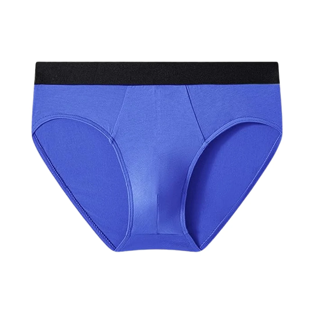 Men's Flex Fit Bikini Brief (Royal Blue)