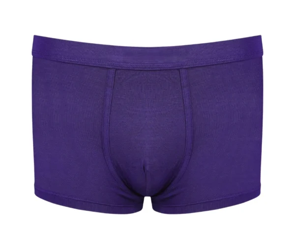 Men's Classic Knit Boxers (Purple)