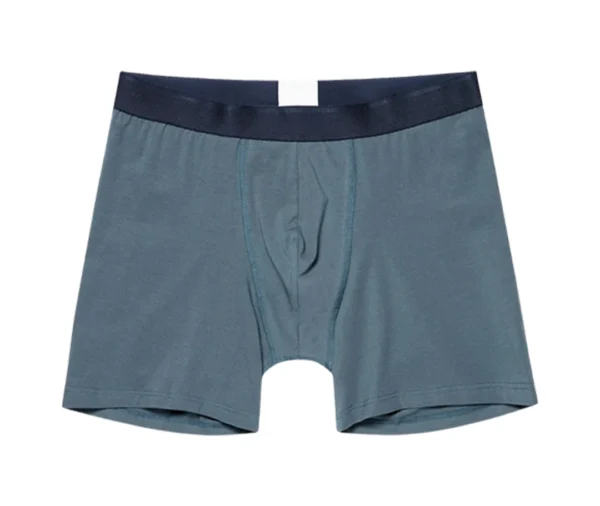 Men's Everyday Boxer Briefs (Light Blue)