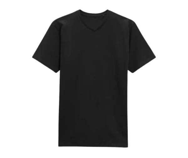 Men’s Regular Fit V-Neck T-Shirt (Black)
