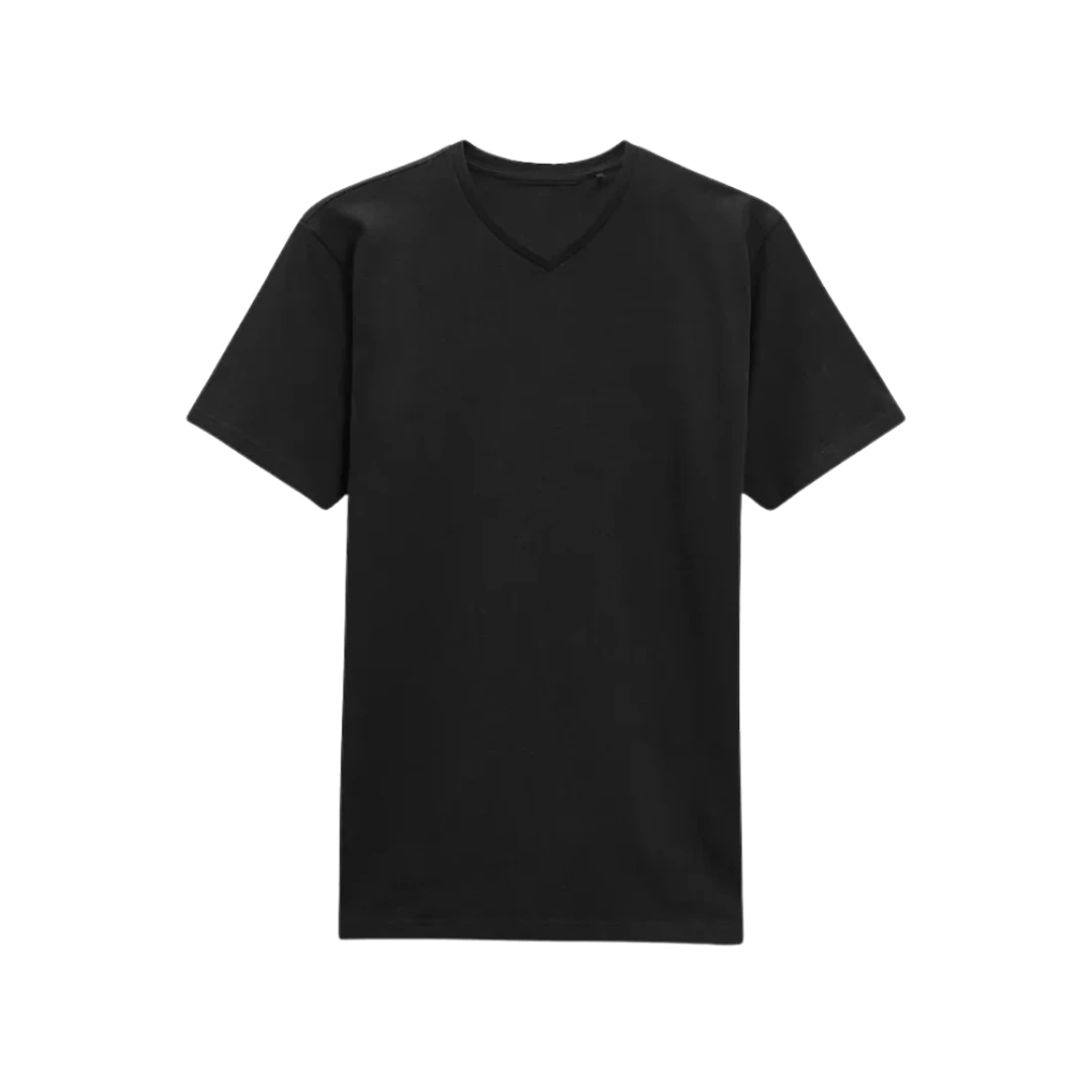 Men’s Regular Fit V-Neck T-Shirt (Black)