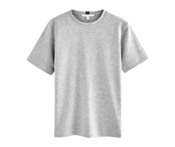 Women’s Heavyweight Crew Neck T-Shirt (Light Gray)