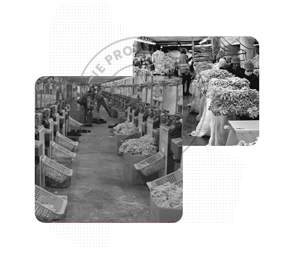 Hilton Enterprises founding in 1970 — private label clothing manufacturer established in Faisalabad, Pakistan